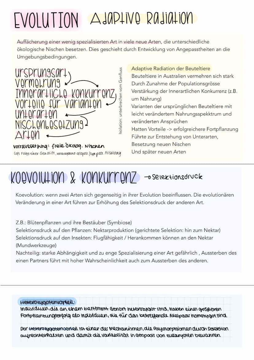 EVOLUTION Cuvier Lamarck Darwin
Cuvier
Katastrophentheorie
- Konstanz der Arten (keine Evolution)
- Naturkatastrophen Ursache für das Versch