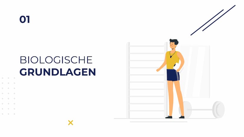 Elisabeth Atapin
Krafttraining
X
X Gliederung
X
01 BIOLOGISCHE
GRUNDLAGEN
aktiver/passiver Bewegungsapparat
Herz-Kreislauf
Atmung
02 FORMEN 