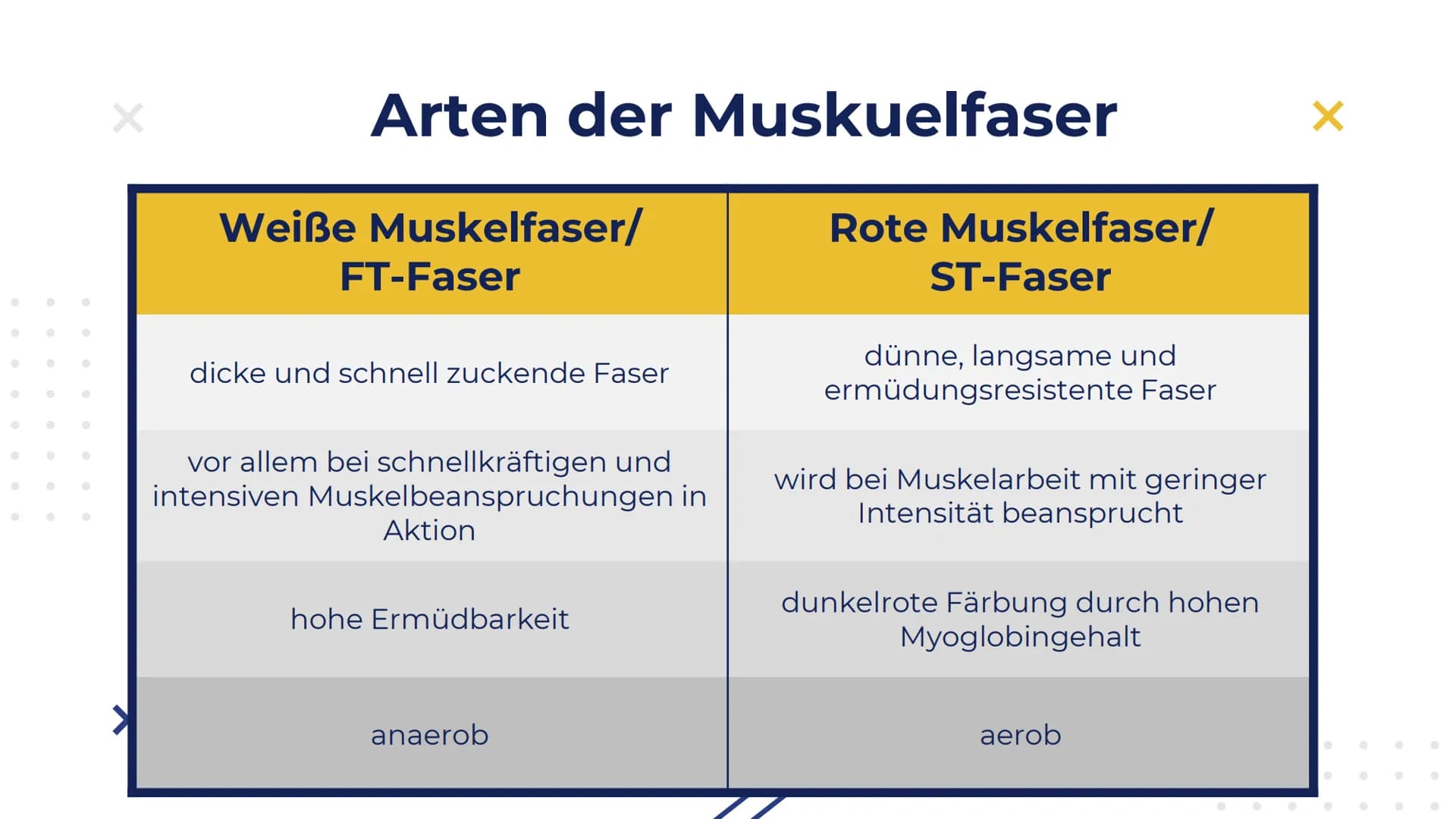 Elisabeth Atapin
Krafttraining
X
X Gliederung
X
01 BIOLOGISCHE
GRUNDLAGEN
aktiver/passiver Bewegungsapparat
Herz-Kreislauf
Atmung
02 FORMEN 