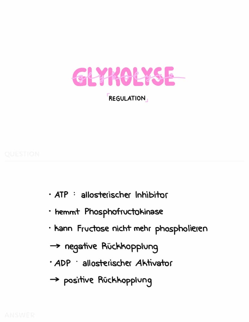 ZELLATMUNG
Zellplasma
2
Glukose-
Molekül
C6
Glucose
*
C₂
Pyruvat
GLYKOLYSE
H₂C-C-
Brenztraubensäure
NADH+H
H₂O
2 NAD
2 ADP + 2 P
2 ATP
2 NAD
