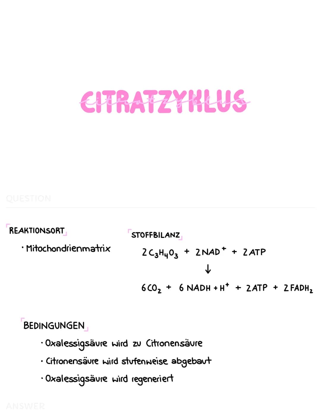 ZELLATMUNG
Zellplasma
2
Glukose-
Molekül
C6
Glucose
*
C₂
Pyruvat
GLYKOLYSE
H₂C-C-
Brenztraubensäure
NADH+H
H₂O
2 NAD
2 ADP + 2 P
2 ATP
2 NAD