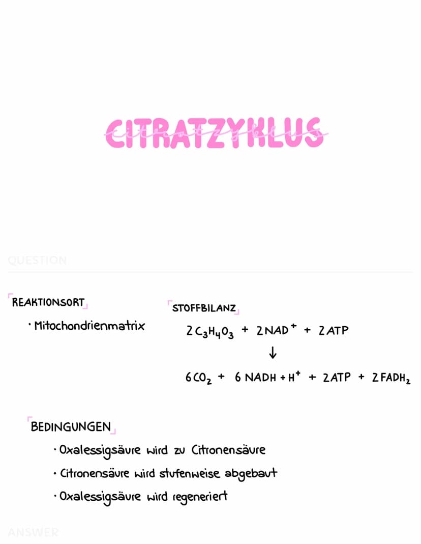 ZELLATMUNG
Zellplasma
2
Glukose-
Molekül
C6
Glucose
*
C₂
Pyruvat
GLYKOLYSE
H₂C-C-
Brenztraubensäure
NADH+H
H₂O
2 NAD
2 ADP + 2 P
2 ATP
2 NAD