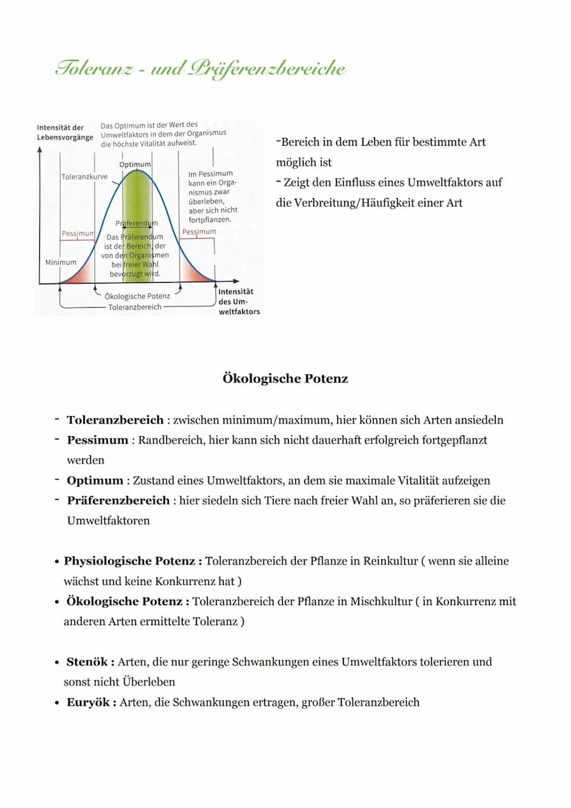 Abiotische & Biotische Umweltfaktoren
Bodenorganismen
Wind
Mensch
pH-Wert
Luftfeuchtigkeit
Biotische Umweltfaktoren
Fressfeinde
Temperatur
A