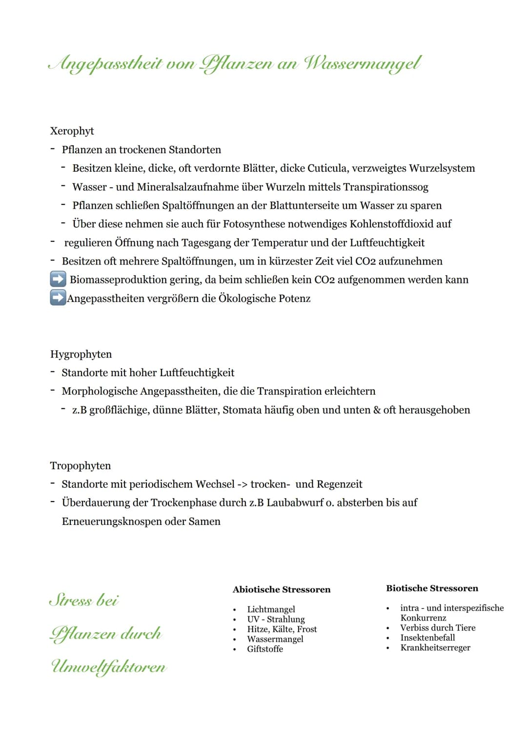 Abiotische & Biotische Umweltfaktoren
Bodenorganismen
Wind
Mensch
pH-Wert
Luftfeuchtigkeit
Biotische Umweltfaktoren
Fressfeinde
Temperatur
A