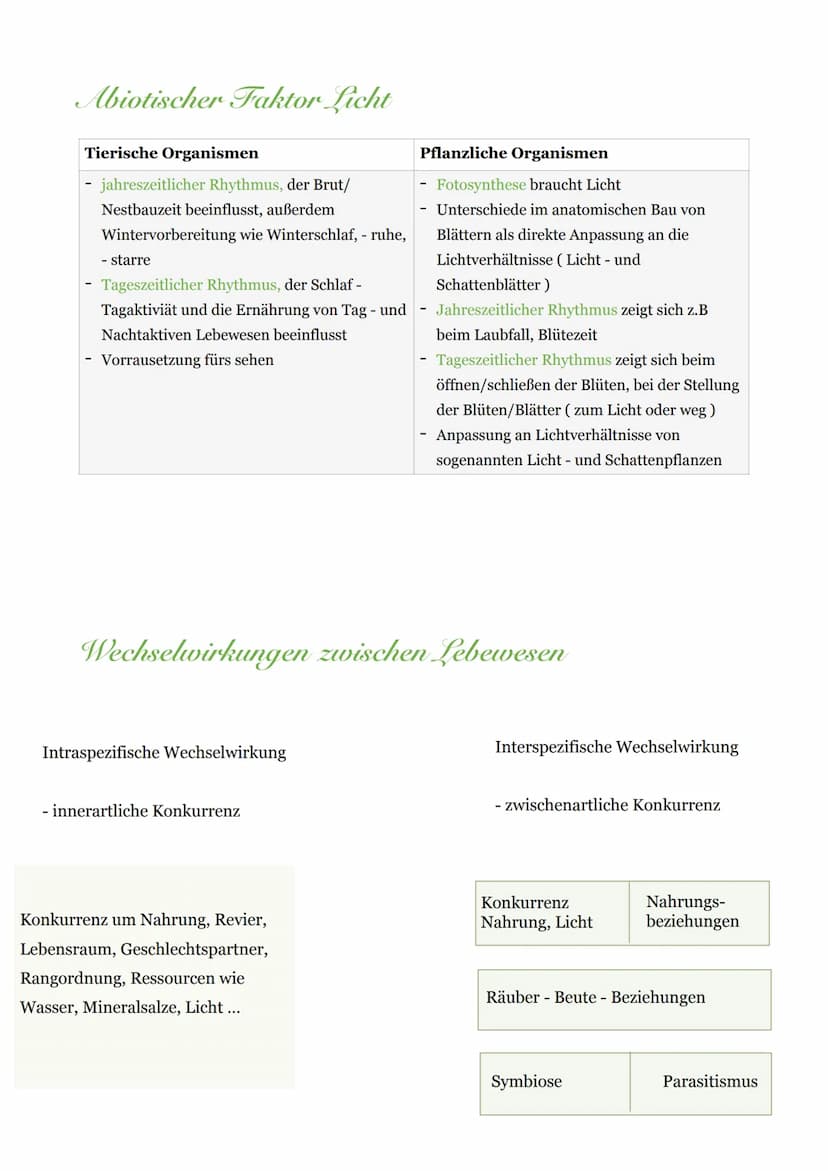 Abiotische & Biotische Umweltfaktoren
Bodenorganismen
Wind
Mensch
pH-Wert
Luftfeuchtigkeit
Biotische Umweltfaktoren
Fressfeinde
Temperatur
A