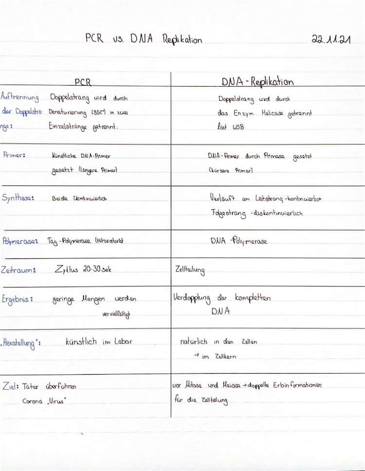 Know Vergleich PCR und DNA Replikation thumbnail