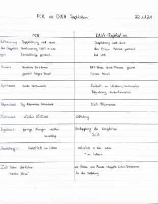 Know Vergleich PCR und DNA Replikation thumbnail