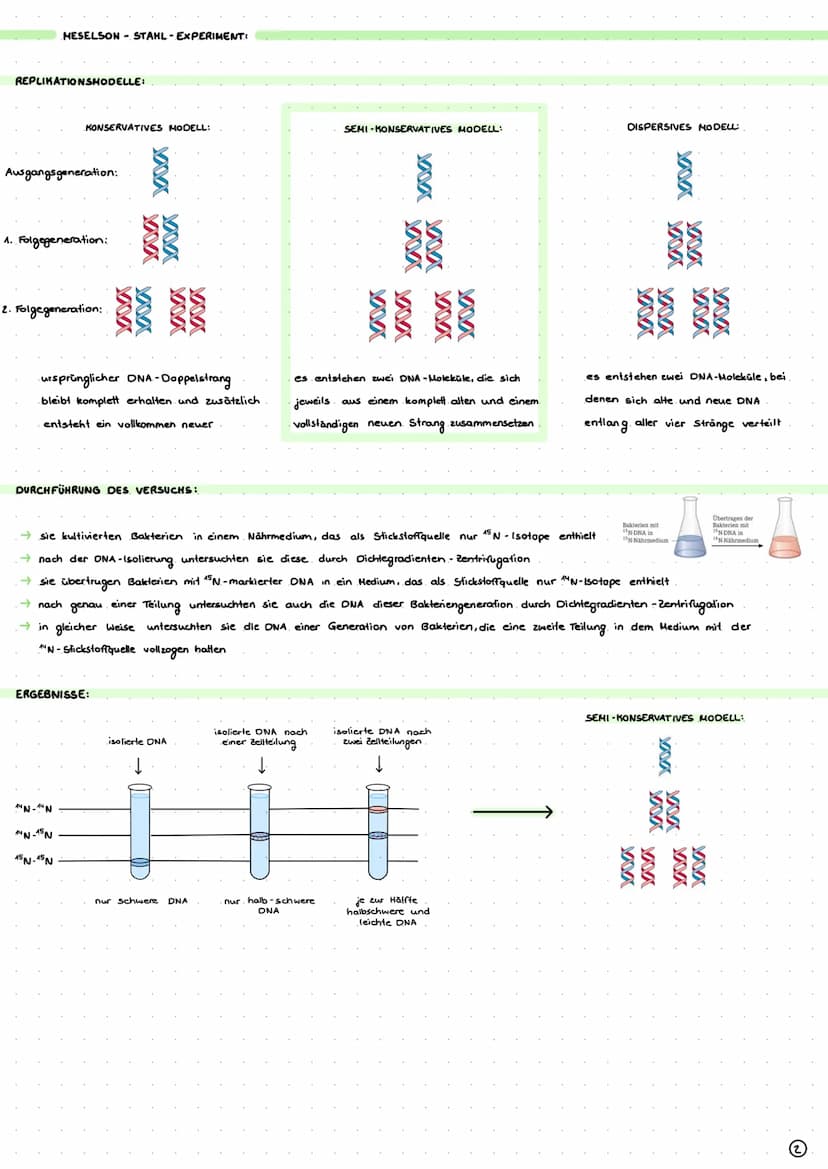 DIOLOGIE
ι ο
GENETIK
AUFBAU DER ONA-DOPPELHELIX..
DNA OOPPELHELIX:
PHYRIMIDINE:
↳stickstoffhaltiger. Ring
Cytosin + Thymin.
→BASENKOMPLEMENT
