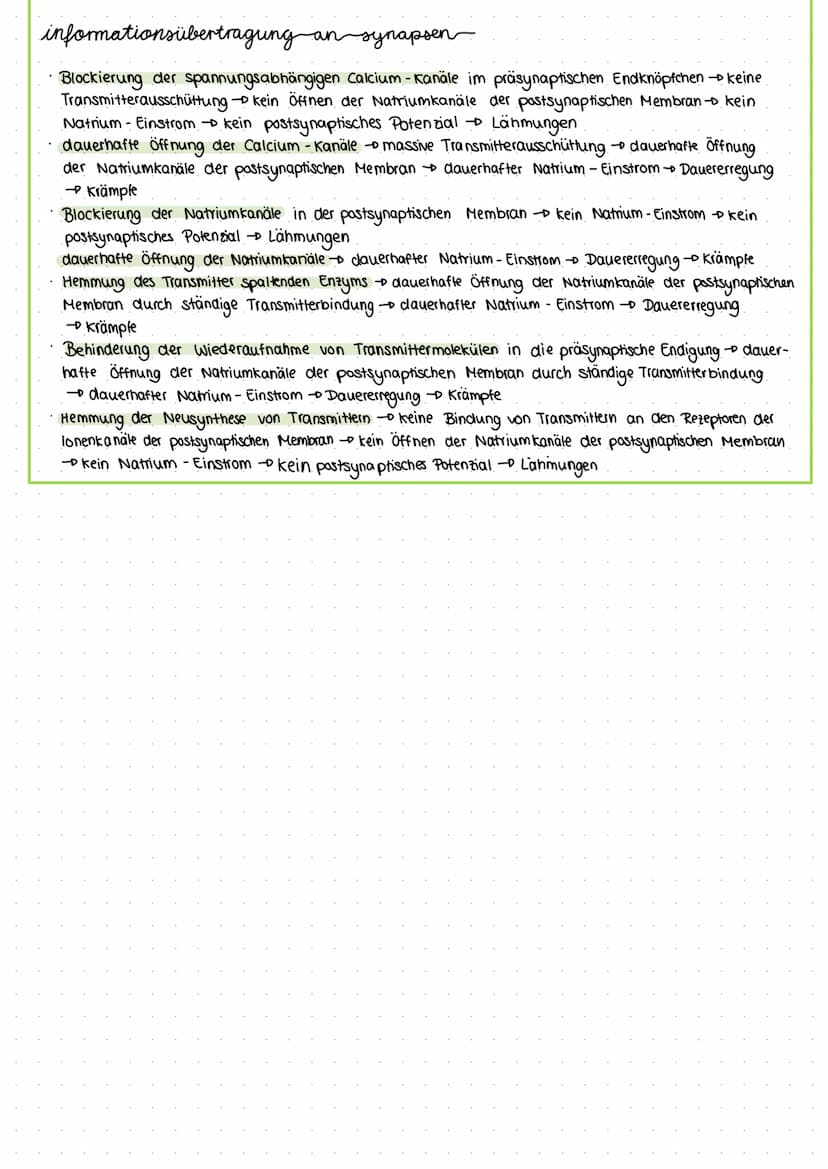 bau und funktion-von-nervenzellen
-Dendriten
Zellkern
Axonhügel
Axon
Soma (Zellkörper)
Funktion: -Aufnahme, Verarbeitung und Weiterleitung v