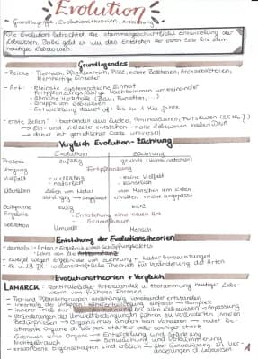 Know Evolution - Theorien, Grundbegriffe, Faktoren, Artbildung thumbnail