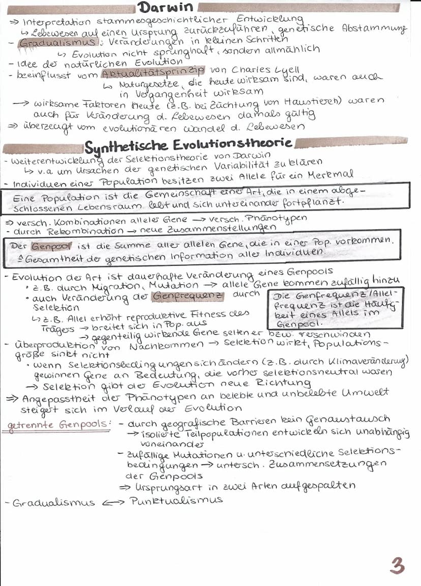 
<p>Die Evolution betrachtet die stammesgeschichtliche Entwicklung der Lebewesen. Dabei geht es um die Entwicklung der heutigen Lebewesen vo