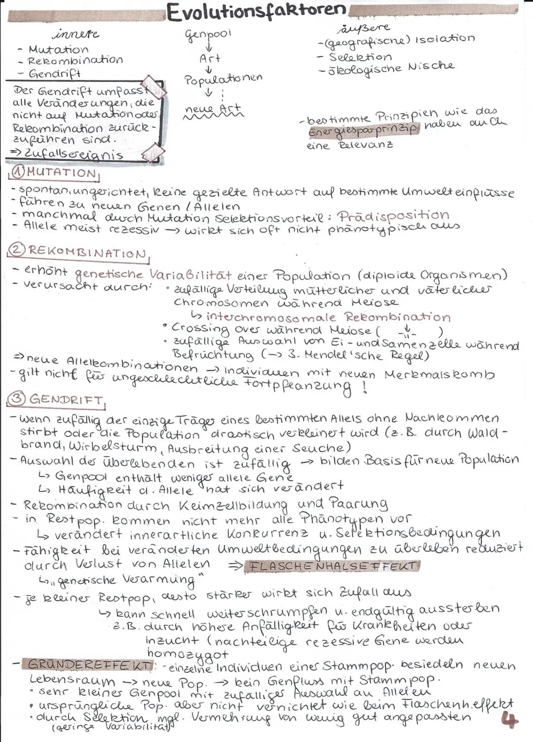 
<p>Die Evolution betrachtet die stammesgeschichtliche Entwicklung der Lebewesen. Dabei geht es um die Entwicklung der heutigen Lebewesen vo