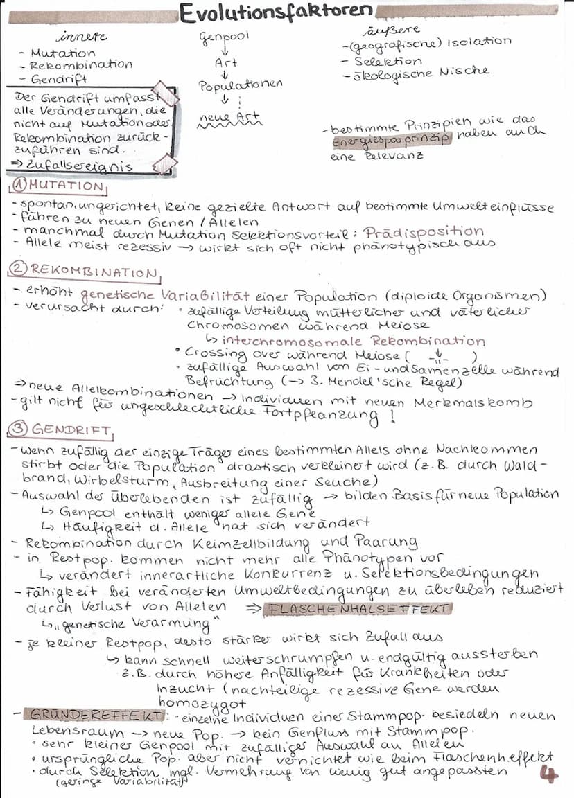 
<p>Die Evolution betrachtet die stammesgeschichtliche Entwicklung der Lebewesen. Dabei geht es um die Entwicklung der heutigen Lebewesen vo