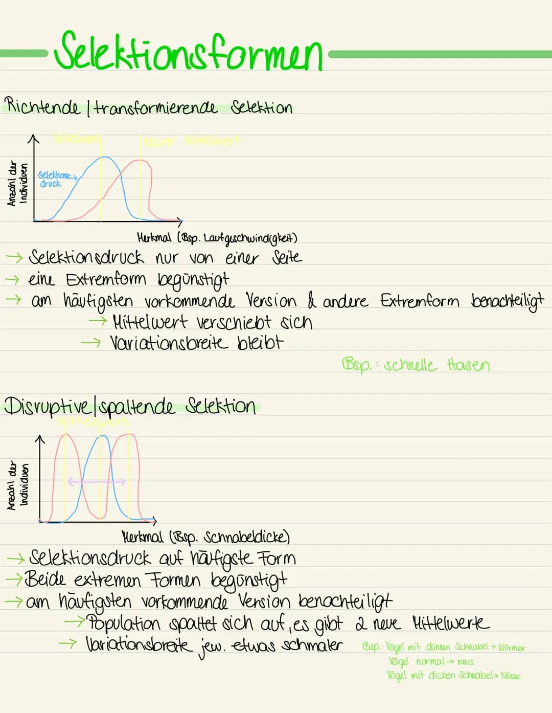 Richtende | transformierende Selektion
Anzahl der
Individuen
Selektionsformen.
Selektions
druck
Herkmal (Bsp. Laufgeschwindigkeit)
Selektion