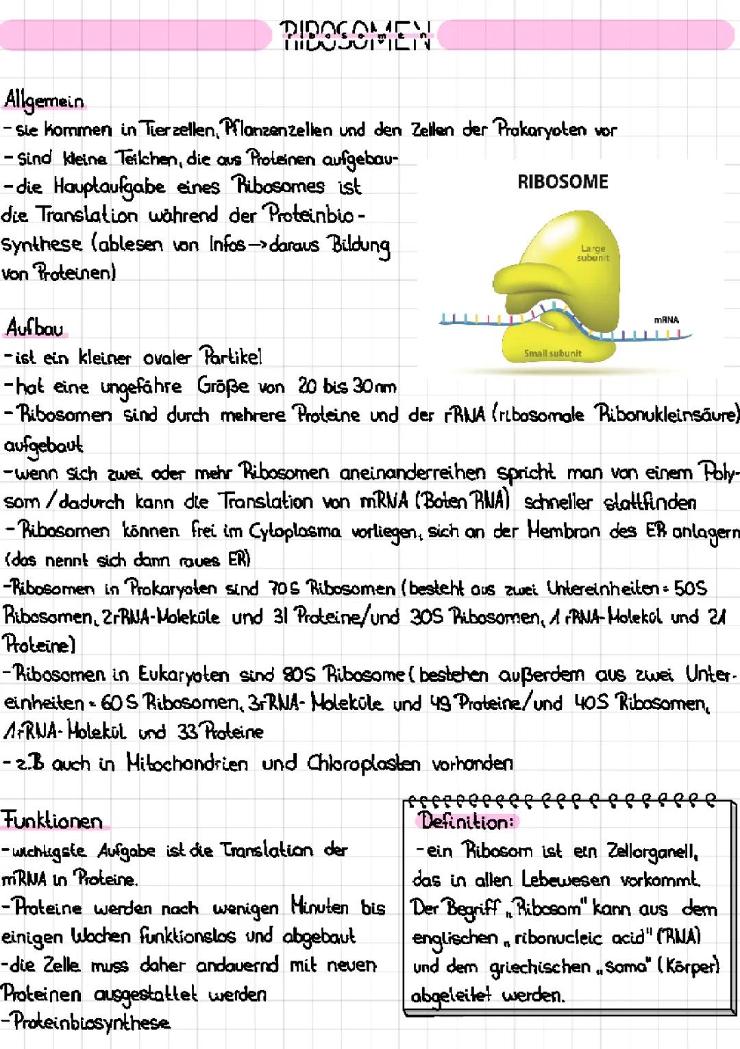 Ribosomen 