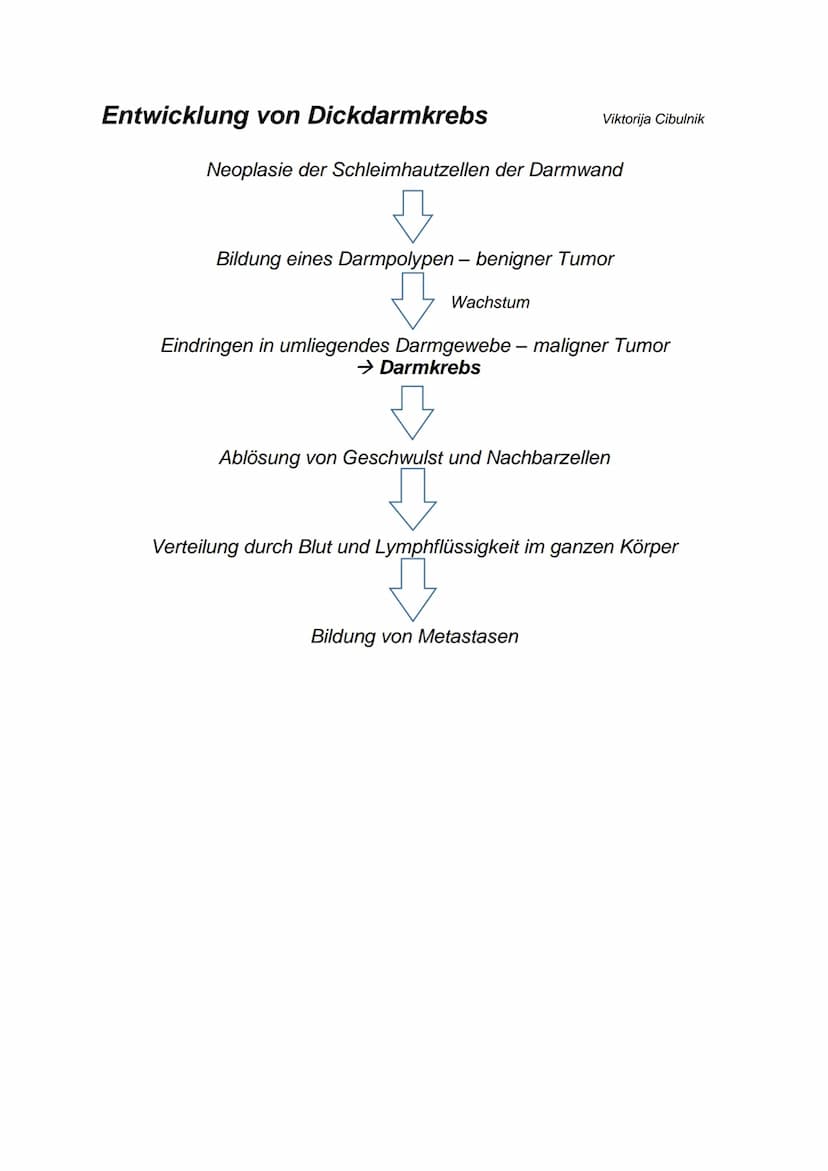 Steckbrief
Maligner Tumor (Krebs)
Herkunft der Bezeichnung: lat. malignitas = Bösartigkeit, Missgunst
Beispiel: Lungen-, Dickdarmkrebs
Ursac
