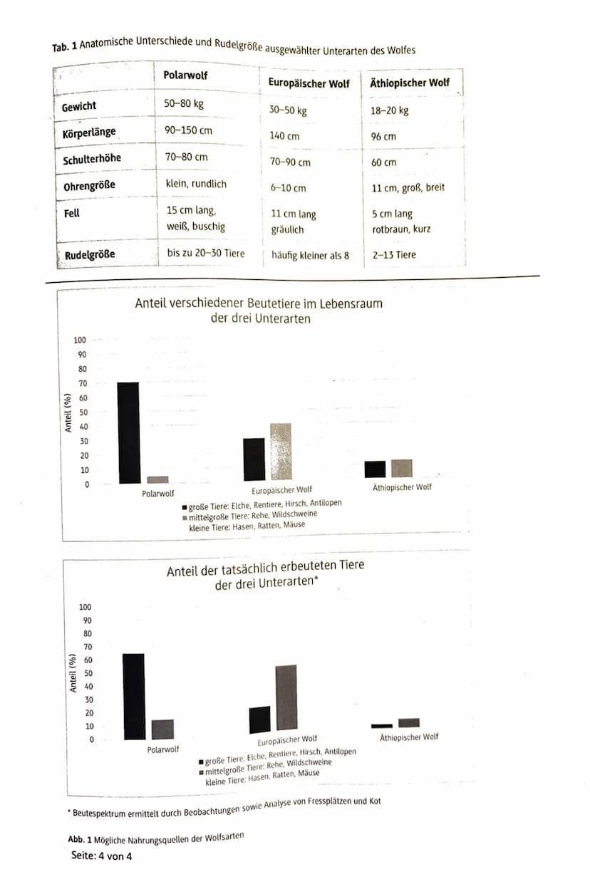 3. Klausur der Q1-Biologie-Grundkurse 1-3 (BUTE/KRAE)
21.03.2023
Aufgabe 1: Ökologie - Überwinterungsstrategien
Name:
Nils Rosa Serger
Aufga