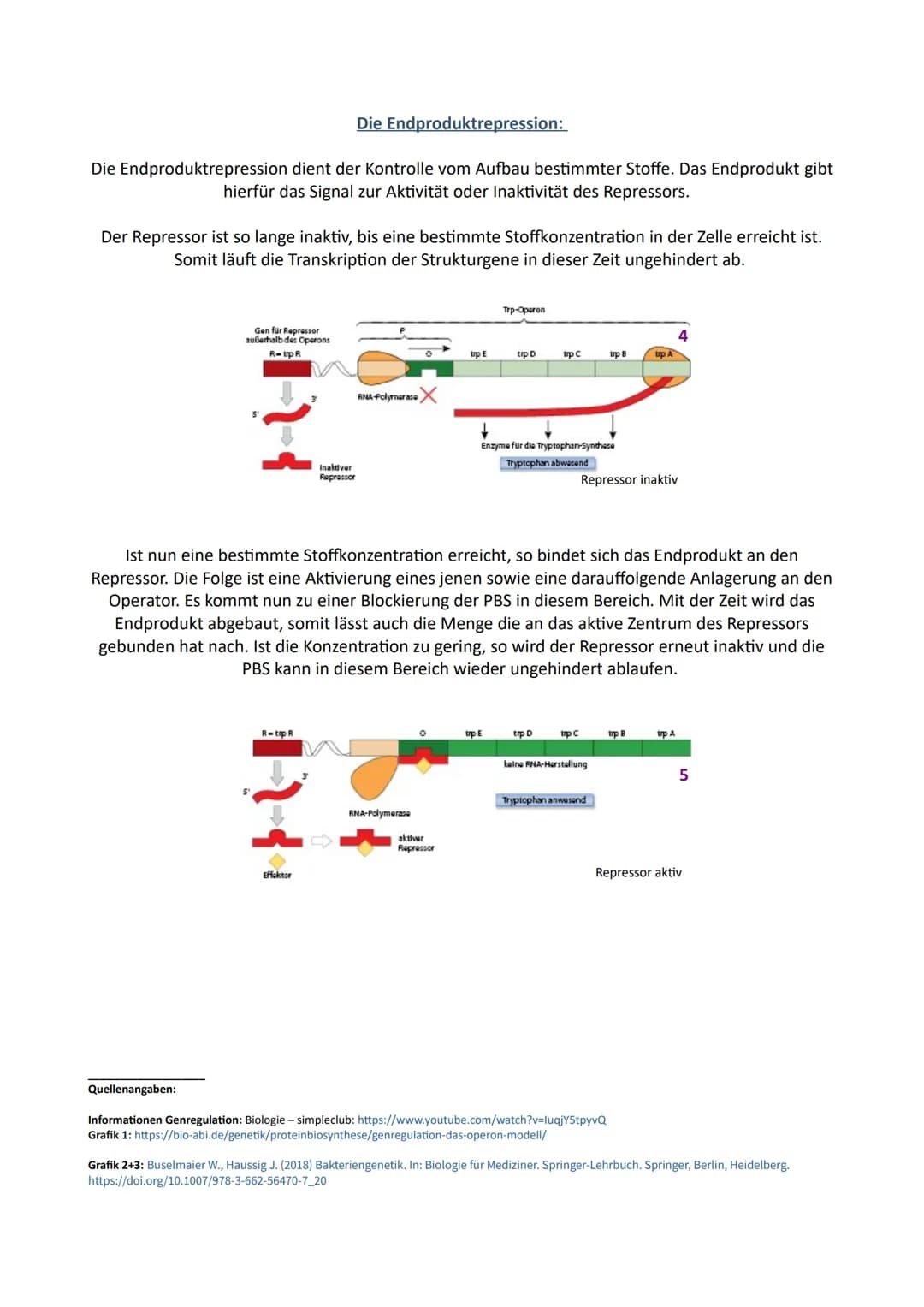 Biologie
Genregulation bei Prokaryoten
In einer Zelle können nicht alle Gene ständig aktiv sein. Die Transkriptionsrate der Gene gibt an wie