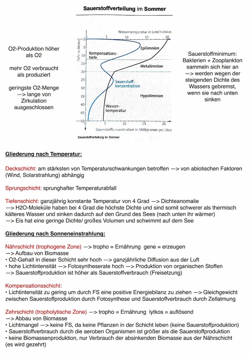 12 BI1 KM
Maggy Muhl & Daria Kiesler
Aquatische Ökosysteme
Ökosystem See - Zonierung
Limnische Ökosysteme
➤ Fließgewässer: Bäche, Flüsse
➤ S