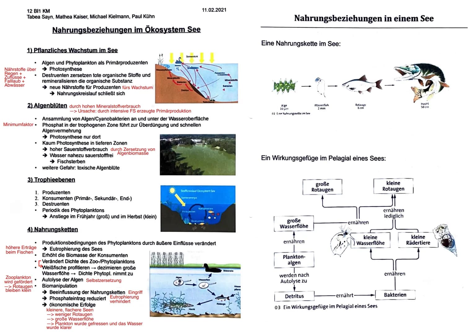 12 BI1 KM
Maggy Muhl & Daria Kiesler
Aquatische Ökosysteme
Ökosystem See - Zonierung
Limnische Ökosysteme
➤ Fließgewässer: Bäche, Flüsse
➤ S