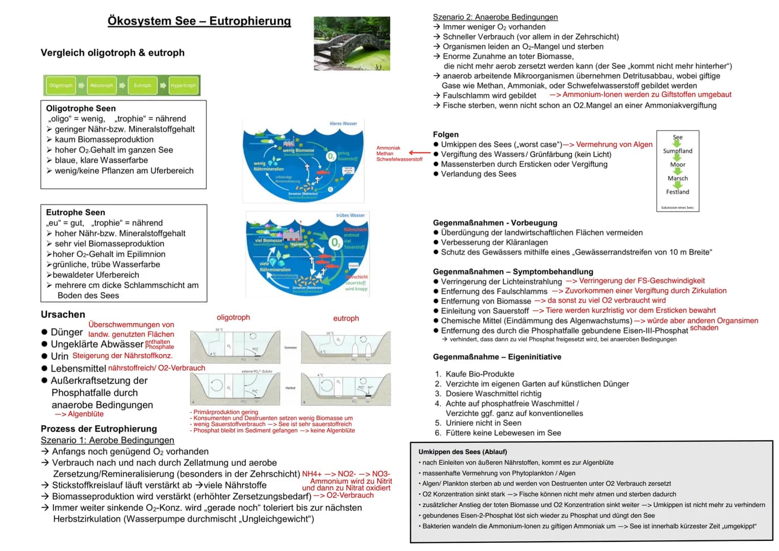 12 BI1 KM
Maggy Muhl & Daria Kiesler
Aquatische Ökosysteme
Ökosystem See - Zonierung
Limnische Ökosysteme
➤ Fließgewässer: Bäche, Flüsse
➤ S