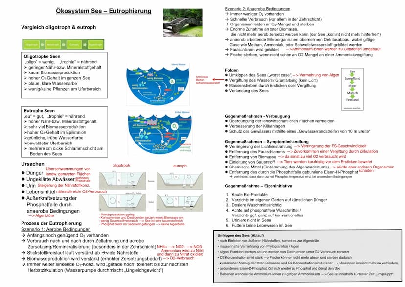 12 BI1 KM
Maggy Muhl & Daria Kiesler
Aquatische Ökosysteme
Ökosystem See - Zonierung
Limnische Ökosysteme
➤ Fließgewässer: Bäche, Flüsse
➤ S