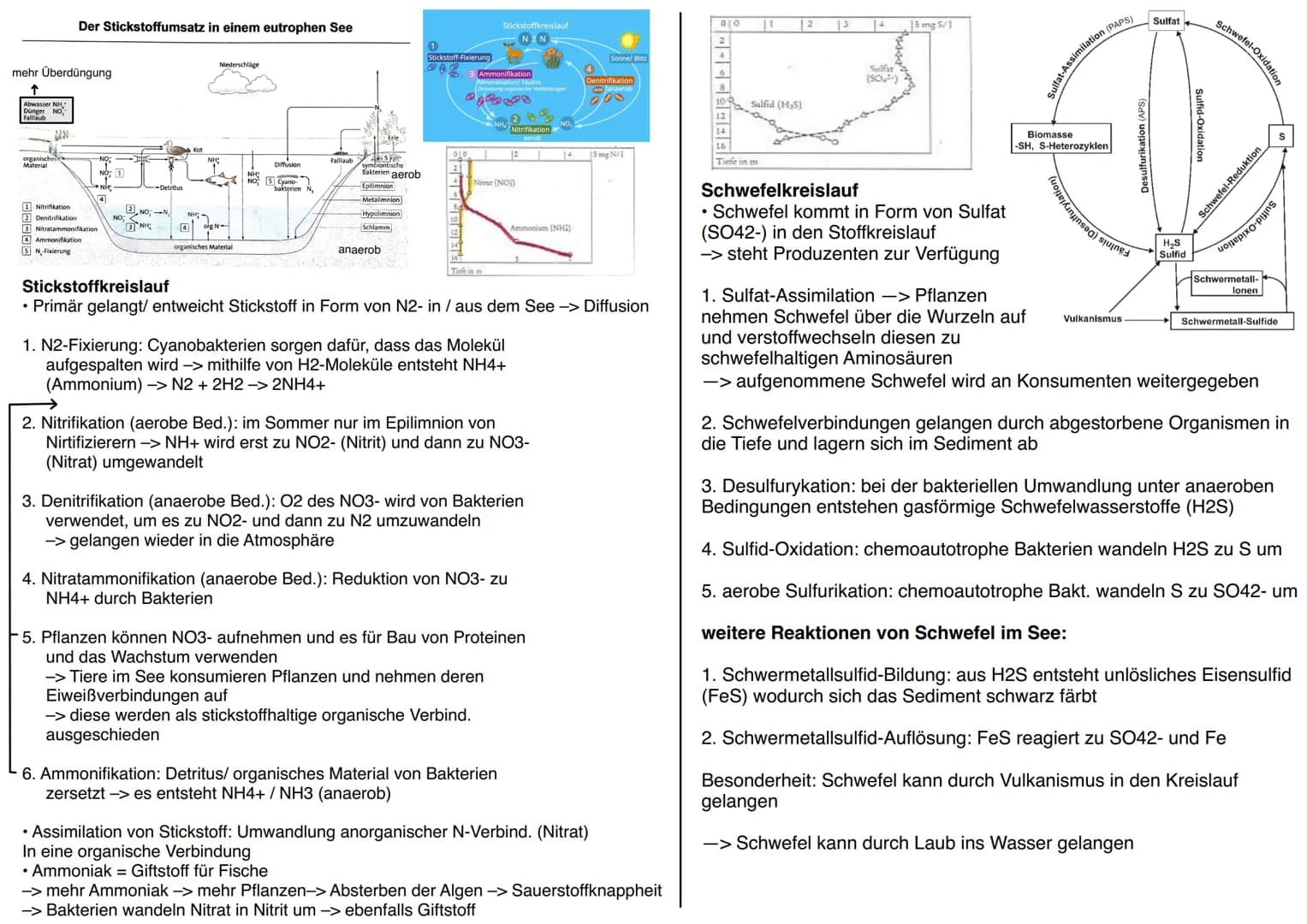 12 BI1 KM
Maggy Muhl & Daria Kiesler
Aquatische Ökosysteme
Ökosystem See - Zonierung
Limnische Ökosysteme
➤ Fließgewässer: Bäche, Flüsse
➤ S