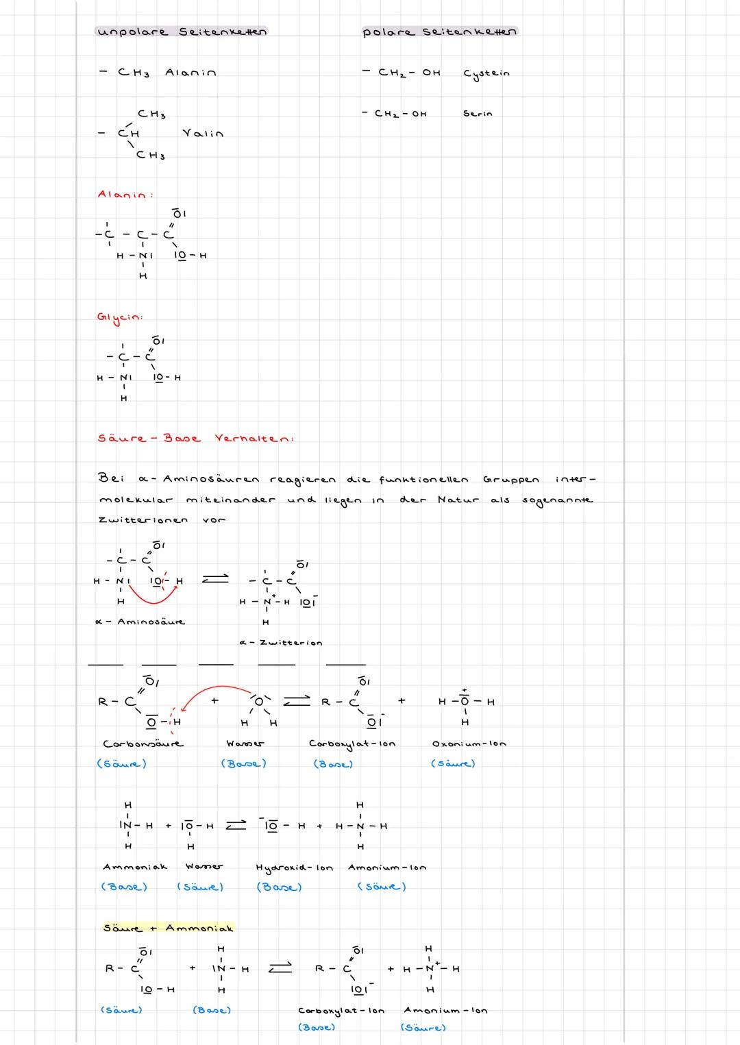 LERNSKRIPT CHEMIE
Aminosäuren
Definition: Aminosäuren sind Moleküle, die zwei funktionelle Gruppen besitzen.
Eine Carboxylgruppe (COOH) und 