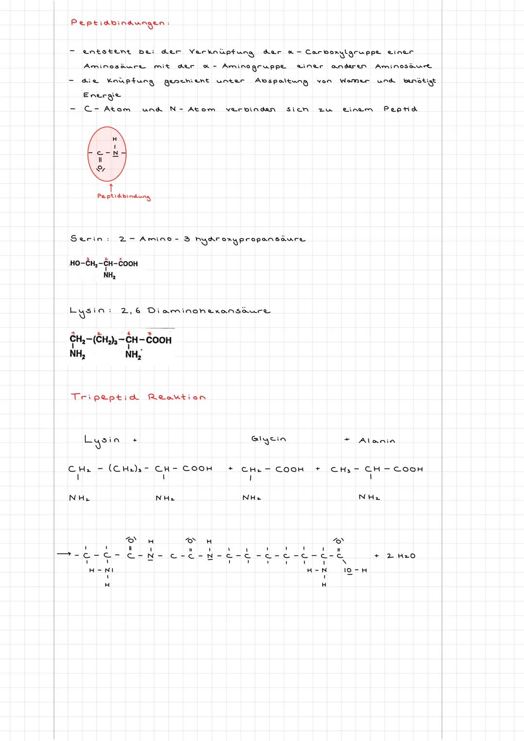 LERNSKRIPT CHEMIE
Aminosäuren
Definition: Aminosäuren sind Moleküle, die zwei funktionelle Gruppen besitzen.
Eine Carboxylgruppe (COOH) und 