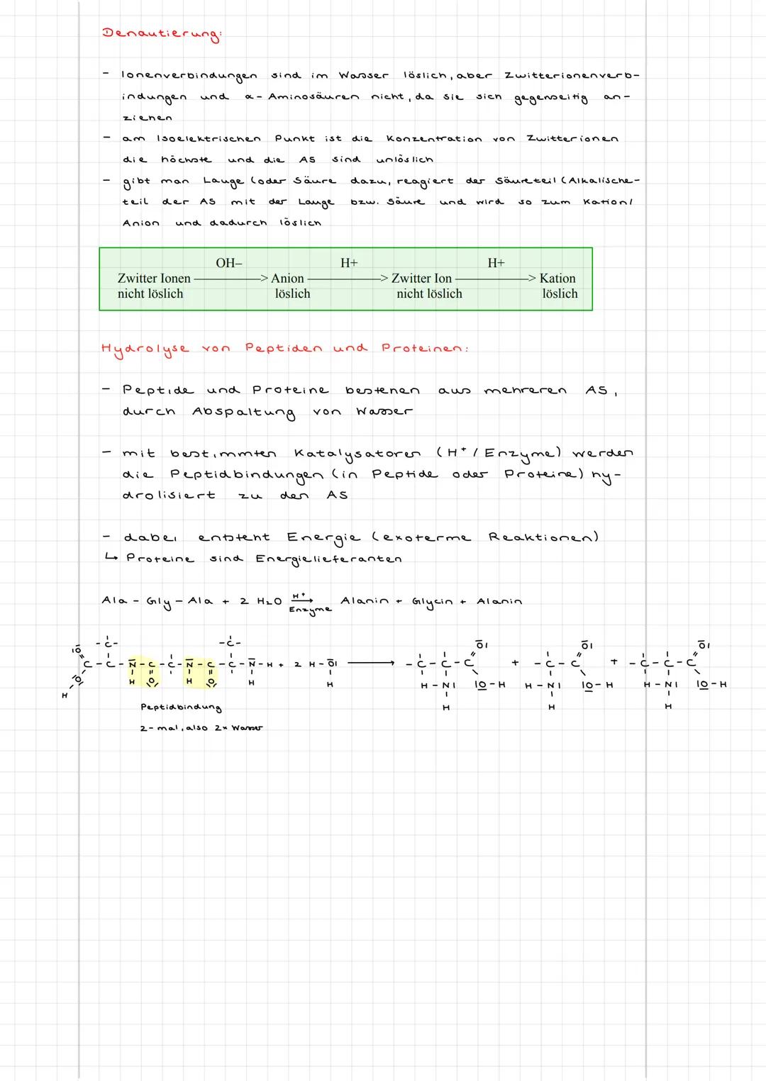 LERNSKRIPT CHEMIE
Aminosäuren
Definition: Aminosäuren sind Moleküle, die zwei funktionelle Gruppen besitzen.
Eine Carboxylgruppe (COOH) und 