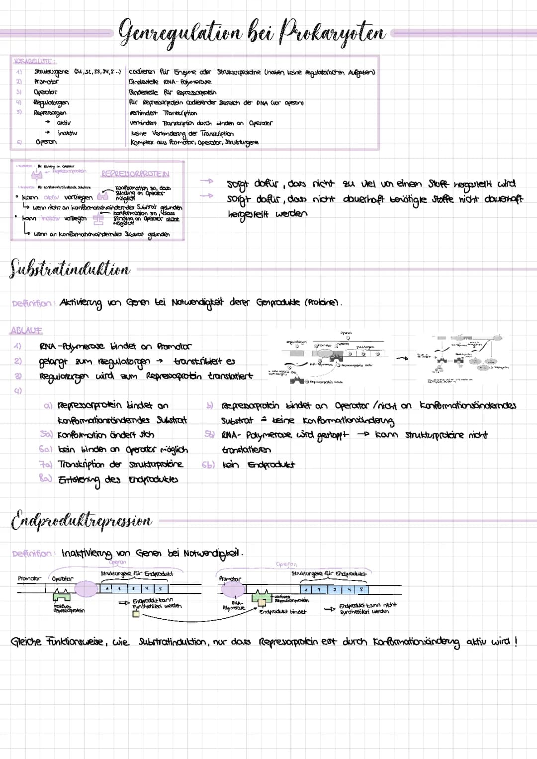 Genregulation 