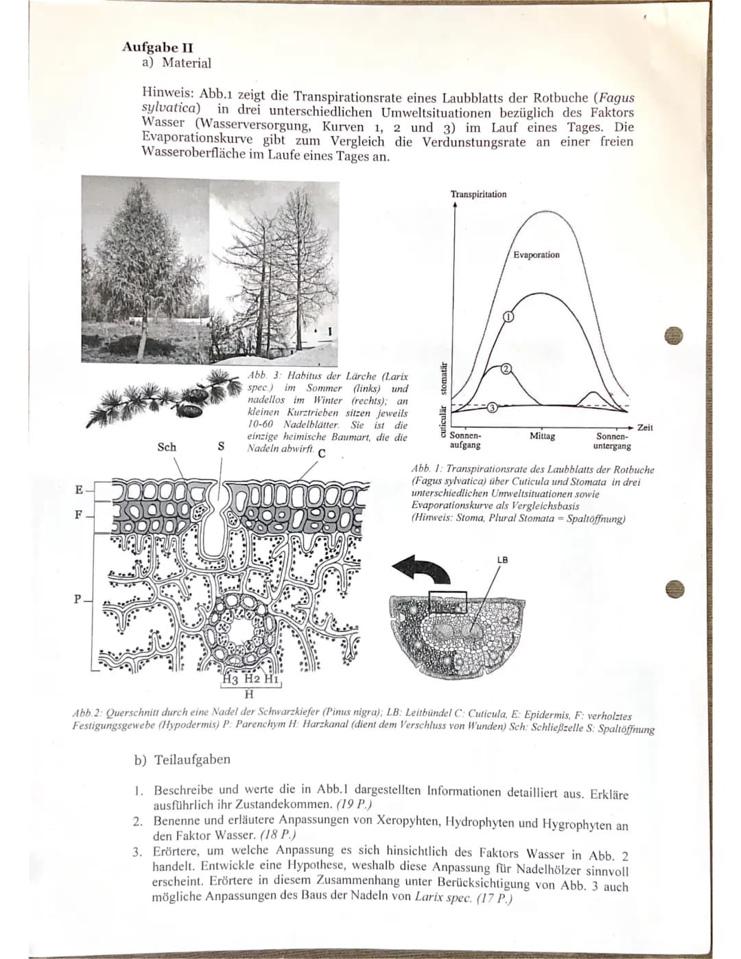 Thema:
Bearbeitungszeit:
Aufgabe I
GK Q1 Biologie ( )
1. Klausur im Halbjahr
Autökologie
90 Minuten
Abb.1: Weidenmeise (Parus atricapillus)
