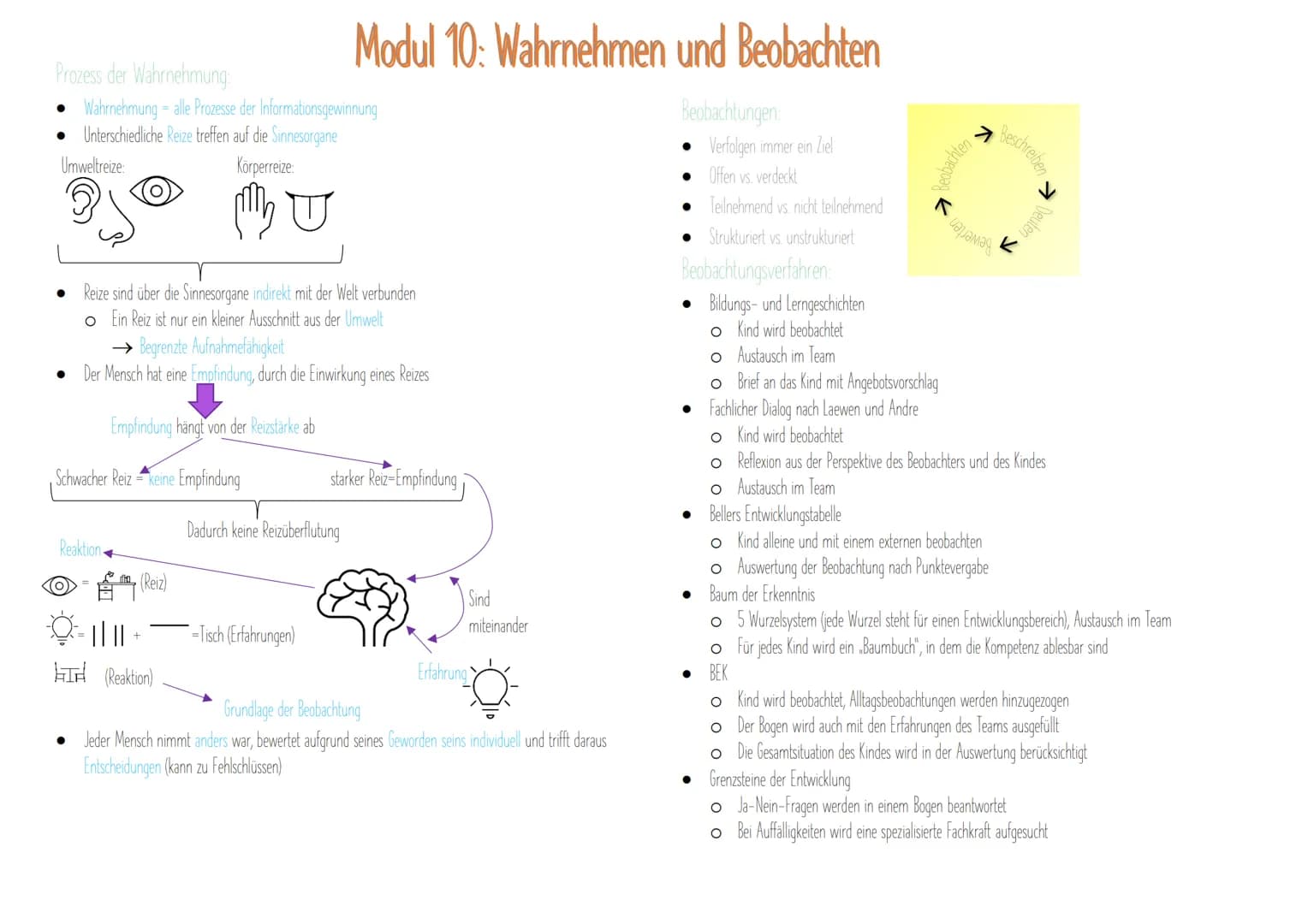 Prozess der Wahrnehmung:
• Wahrnehmung alle Prozesse der Informationsgewinnung
Unterschiedliche Reize treffen auf die Sinnesorgane
Umweltrei