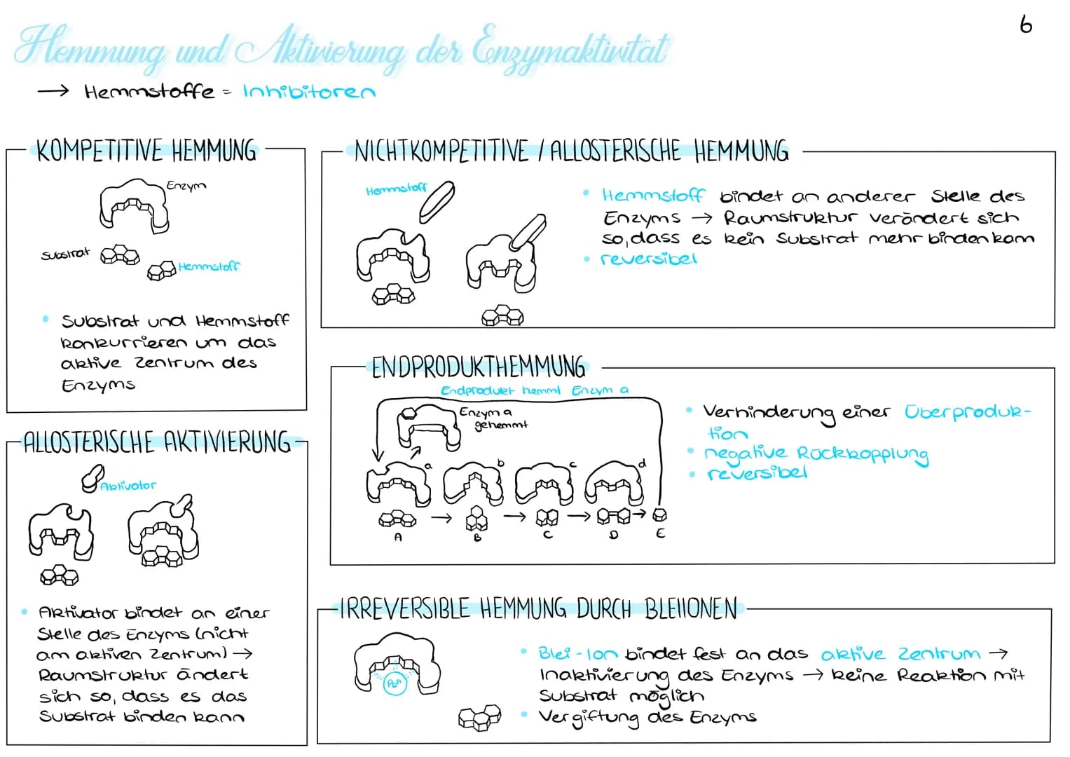 Hemmung und Aktivierung der Enzymaktivität
Hemmstoffe = Inhibitoren
KOMPETITIVE HEMMUNG
Substrat
Enzym
Aktivator
Hemmstoff
• Substrat und He