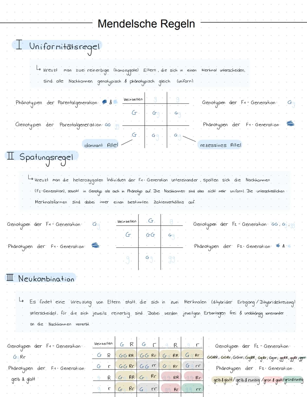 Evolution
24.11.22 Glossar
Generell:
Begriff
Art
Population
Variabilität
Reproduktive Fitness
Evolutionsfaktoren
Ökologische Nische
Normalve