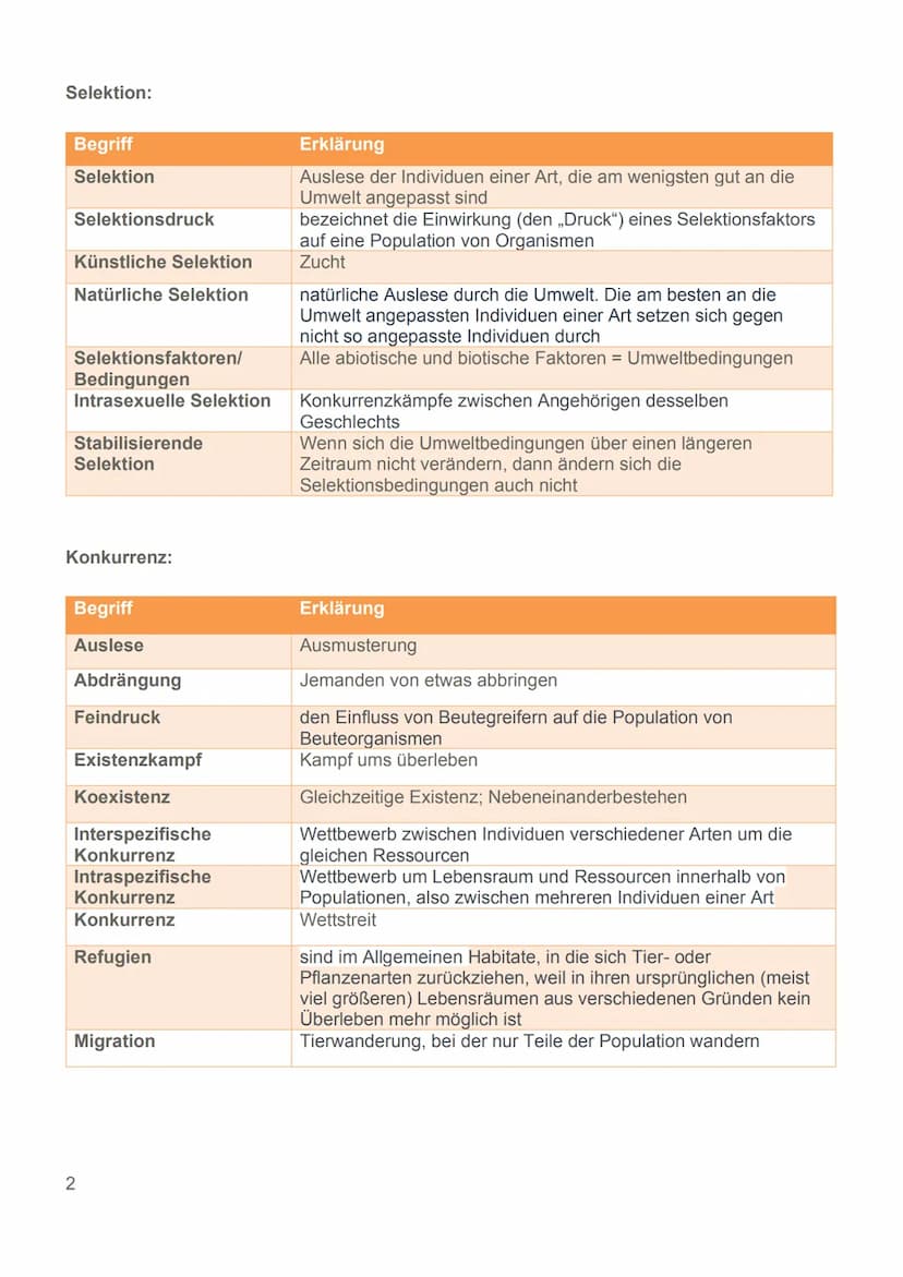 Evolution
24.11.22 Glossar
Generell:
Begriff
Art
Population
Variabilität
Reproduktive Fitness
Evolutionsfaktoren
Ökologische Nische
Normalve