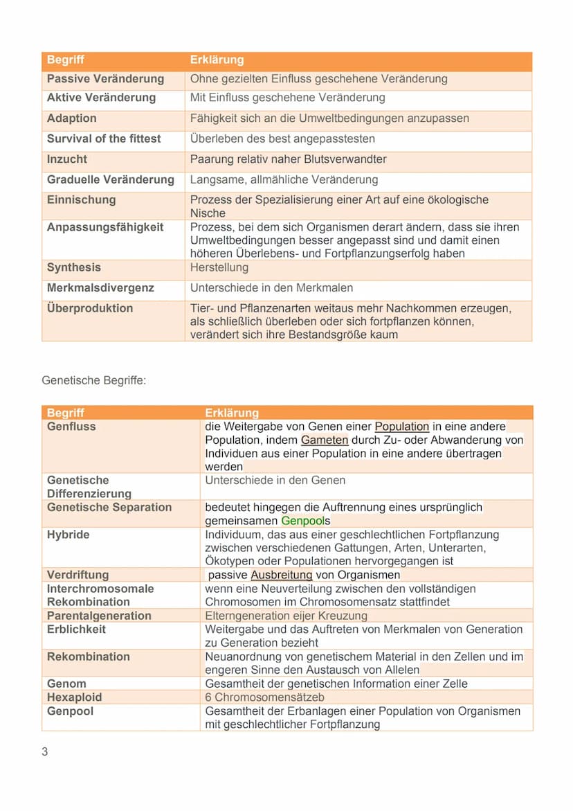 Evolution
24.11.22 Glossar
Generell:
Begriff
Art
Population
Variabilität
Reproduktive Fitness
Evolutionsfaktoren
Ökologische Nische
Normalve