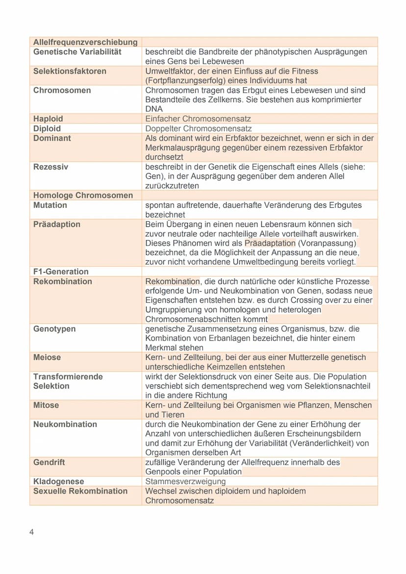 Evolution
24.11.22 Glossar
Generell:
Begriff
Art
Population
Variabilität
Reproduktive Fitness
Evolutionsfaktoren
Ökologische Nische
Normalve
