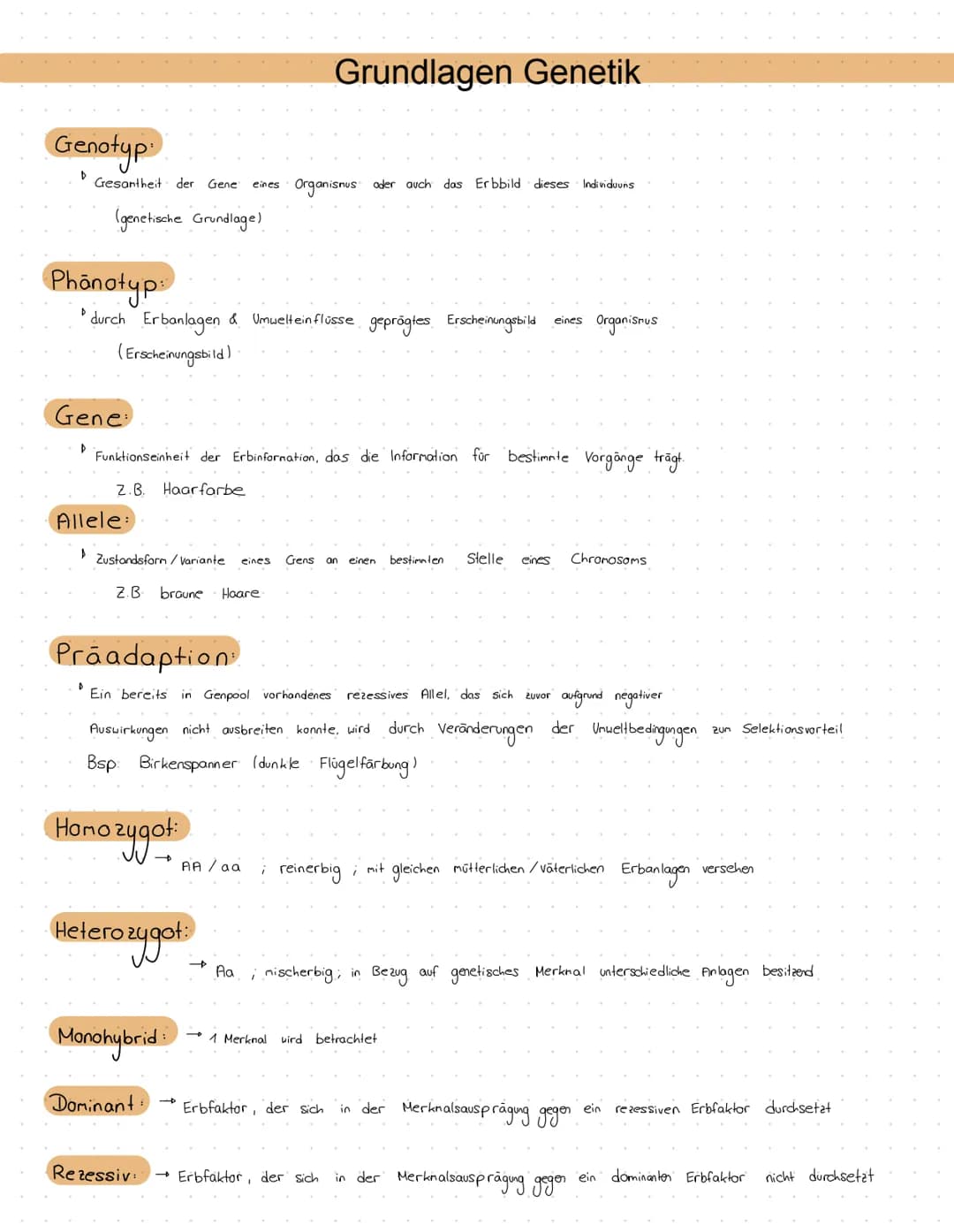 Evolution
24.11.22 Glossar
Generell:
Begriff
Art
Population
Variabilität
Reproduktive Fitness
Evolutionsfaktoren
Ökologische Nische
Normalve