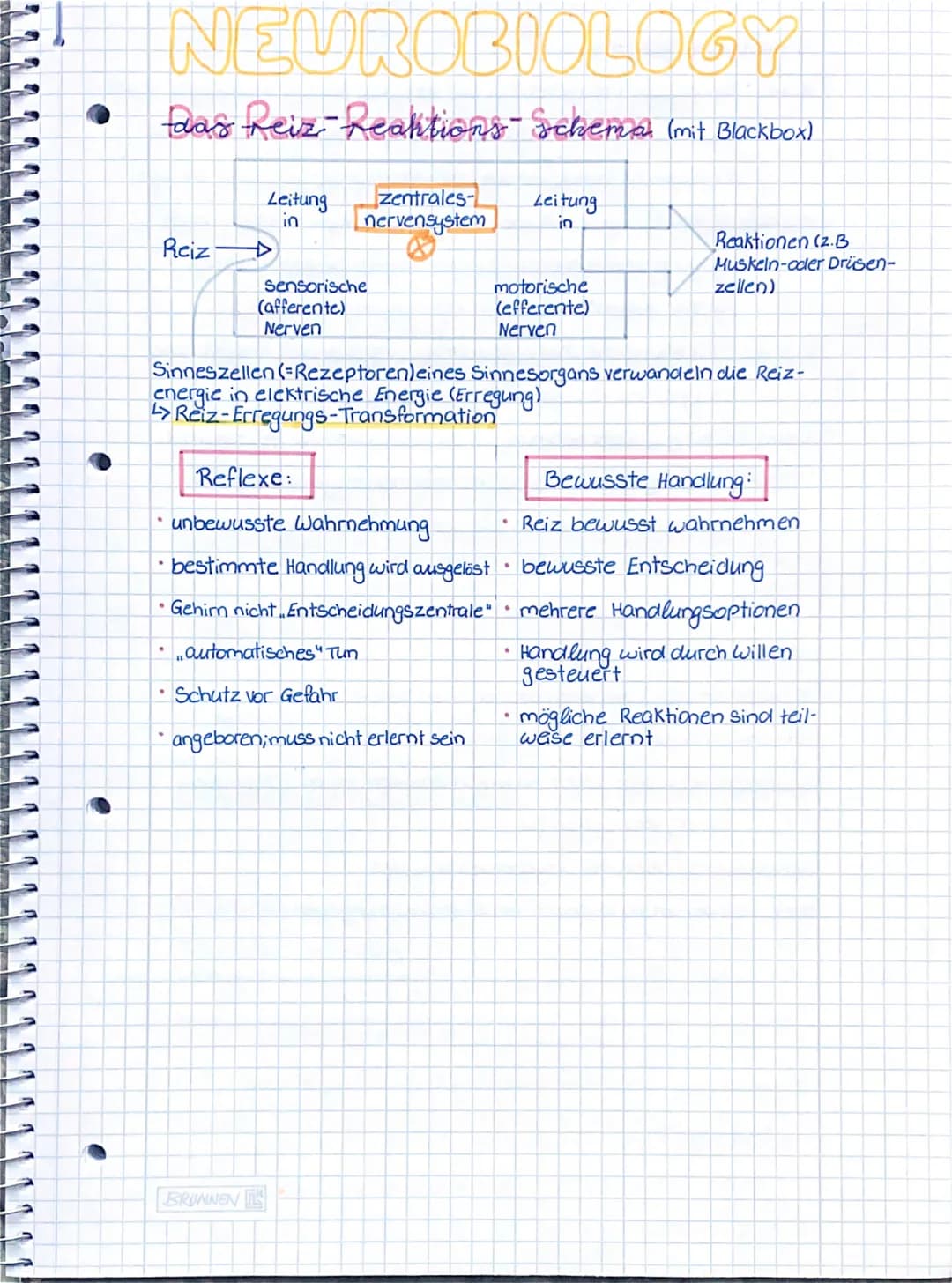 NEUROBIOLOGY
Das Reiz- Reaktions- Schema (mit Blackbox)
Reiz
Leitung
in
zentrales-
nervensystem
.
Sensorische
(afferente)
Nerven
BRUNNEN
Ref