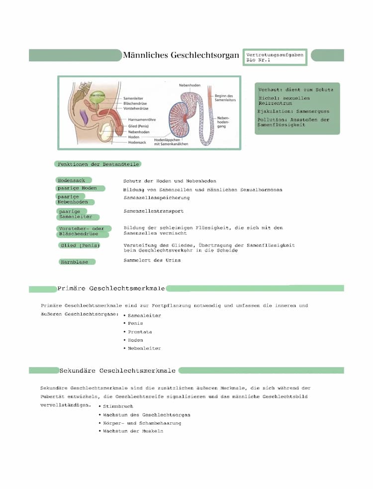 Know Biologie Sexualerziehung  thumbnail