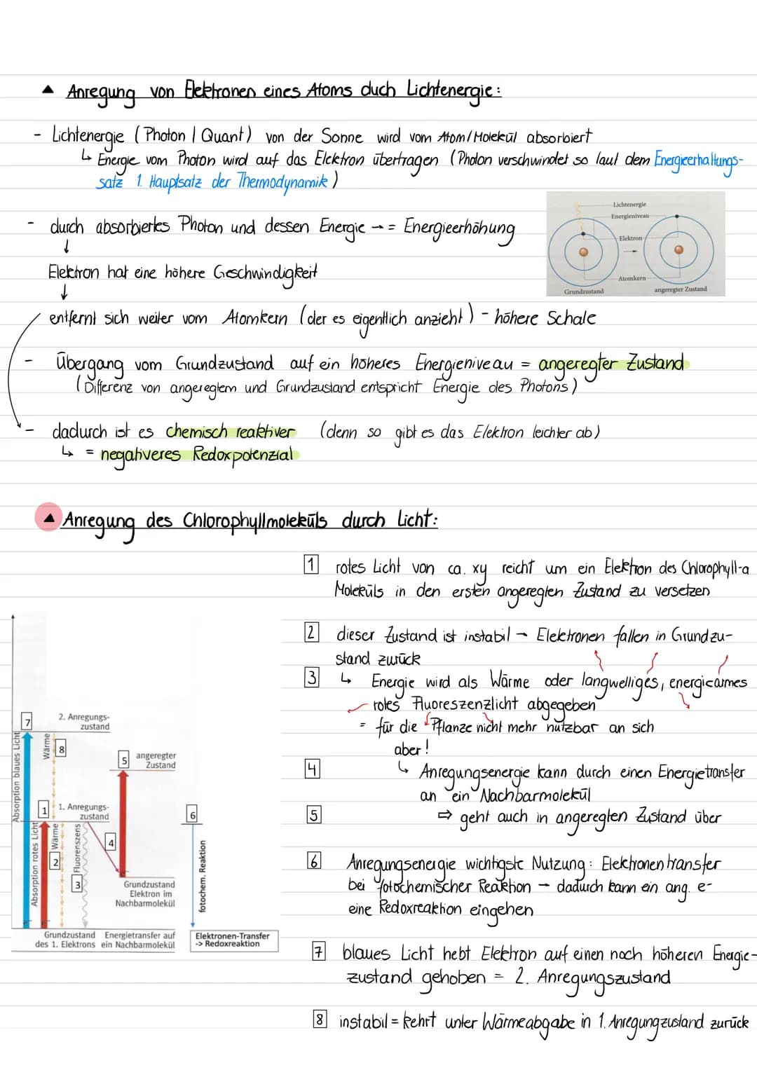 • Warum sind Blätter grün ?
Blätter/ Chloroplasten erscheinen uns aufgrund der photosynthetischer Blattpigmenten grün.
Pigmente = Stoffe die
