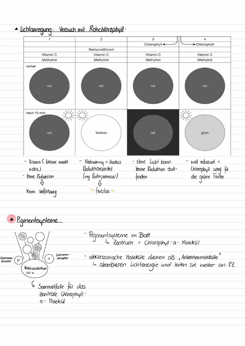 • Warum sind Blätter grün ?
Blätter/ Chloroplasten erscheinen uns aufgrund der photosynthetischer Blattpigmenten grün.
Pigmente = Stoffe die