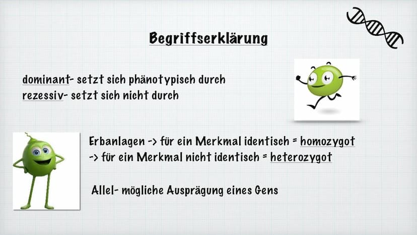 Mendelsche Regeln
Rosiyana Stoyanova und Chahid Babi
Bio/Herr Hülsmann
2021/22
Gregor Mendel Inhaltsverzeichnis
1.
Wer ist Gregor Mendel?
2.