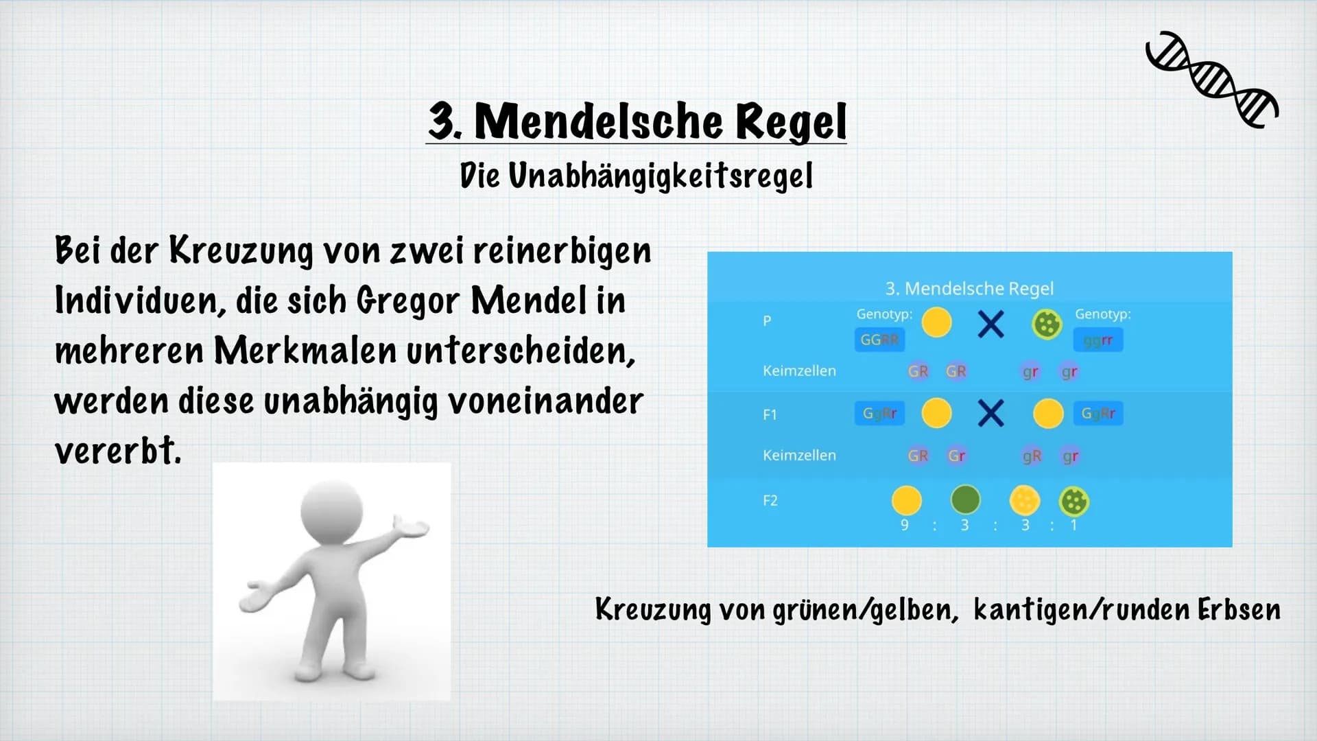Mendelsche Regeln
Rosiyana Stoyanova und Chahid Babi
Bio/Herr Hülsmann
2021/22
Gregor Mendel Inhaltsverzeichnis
1.
Wer ist Gregor Mendel?
2.