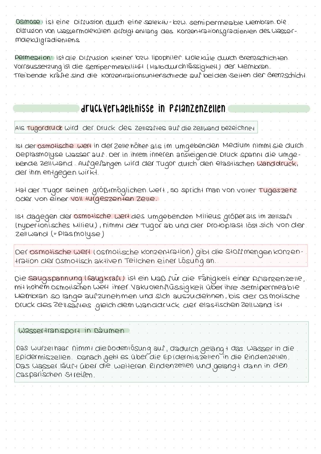 Exocytose
PHOSPHOLIPID:
EXOCYTOSE:
•Reste werden nach außen abgegeben.
CH 3
H3C-N- CH₂ - CH₂
1
CH3
Cholinrest
ABBAU VON FETTEN:
Z.B. Zwölffi