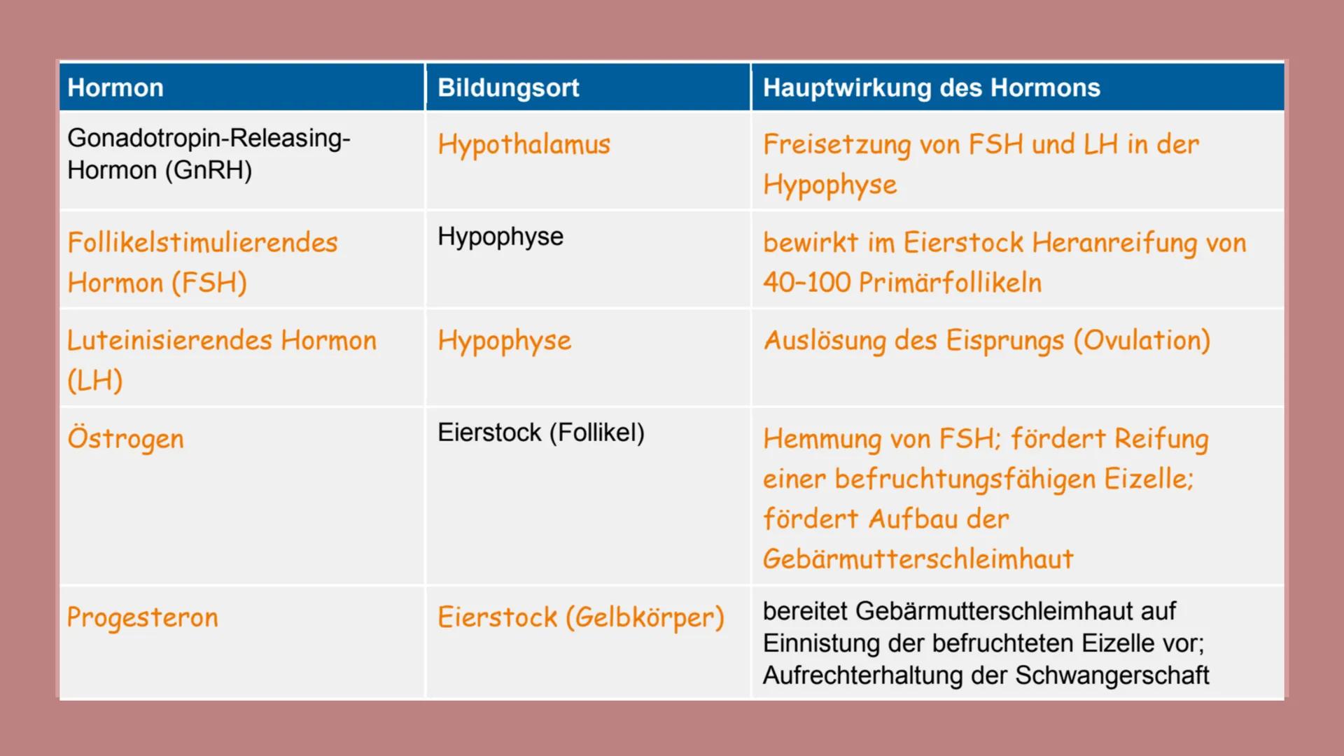 Menstruation und
Schwangerschaft Gliederung
Menstruation und Schwangerschaft
●
Menstruationszyklus
• Regelung des Zylus
• Schwangerschaft
RI