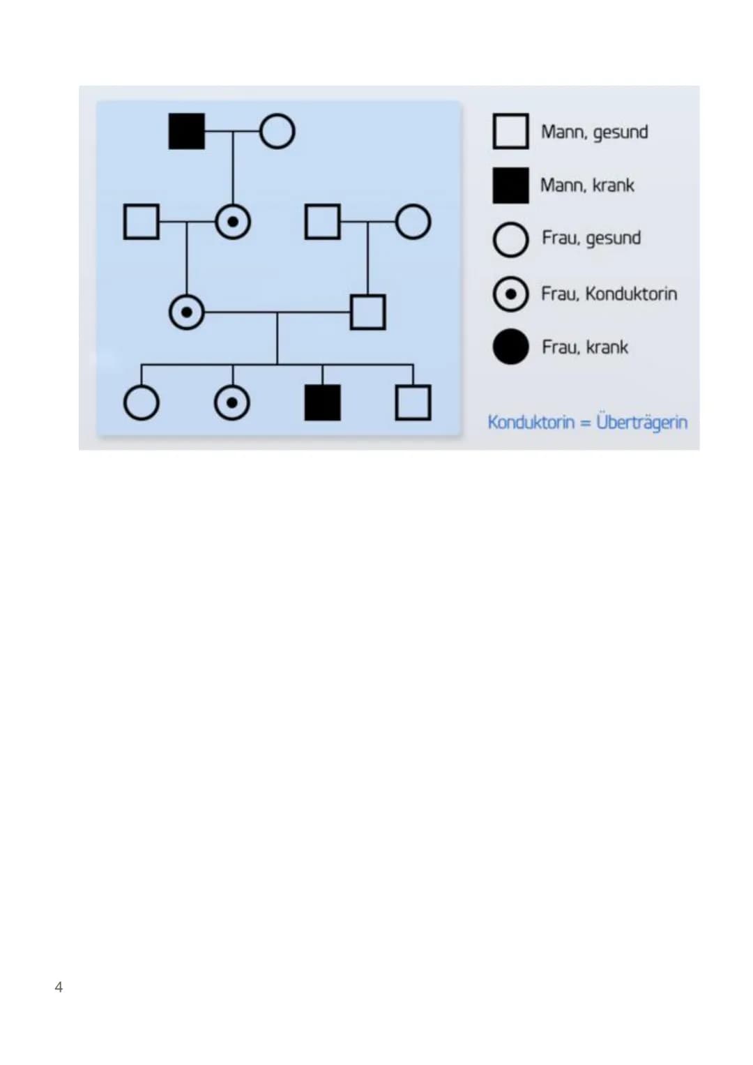 Klinefelter - Syndrom XXY
Kurzvortrag von Katharina Kühn
Biologie LK1 12
Definition:
Das Klinefelter-Syndrom, auch bekannt als
XXY-Syndrom, 