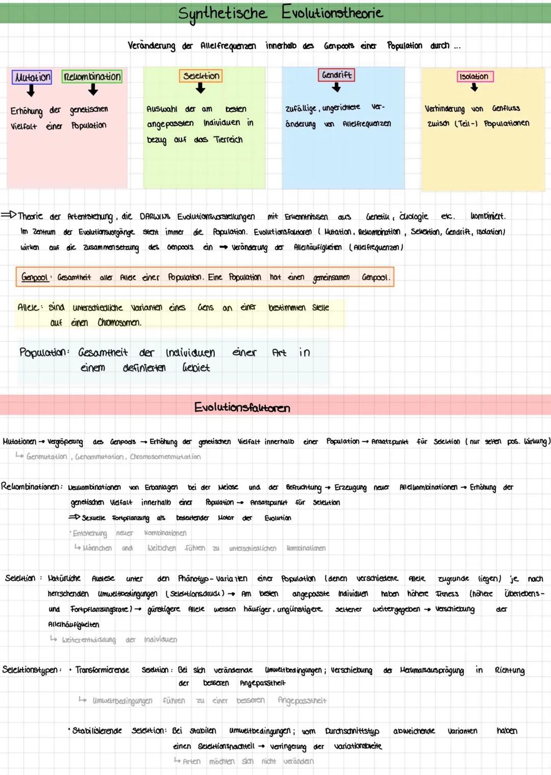 Kreationismus:
Nicht wissenschaftliche Gegenpositionen zur Synthetischen Evolutionstheorie
• Vertreter nehmen Bibel wörtlich: 2.B. Erschaffu