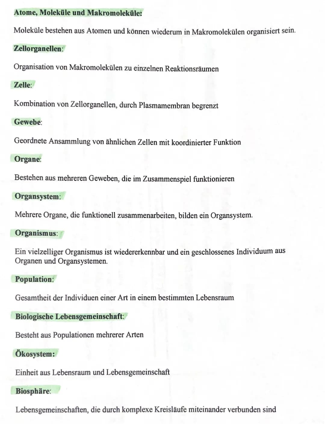 Systemebenen Biologie: Von der Zelle zum Organismus - Klasse 7 Arbeitsblatt